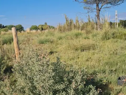 Terreno en Venta de 25000,0 m2