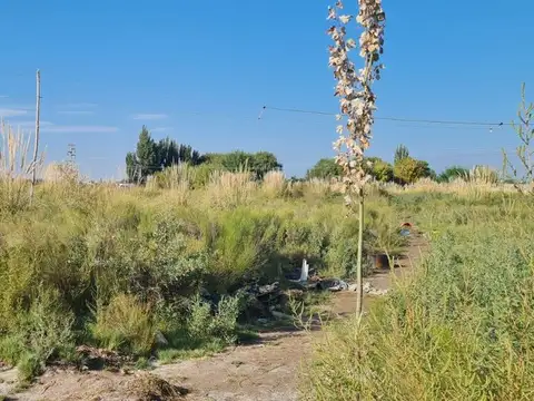 LOTE EN VENTA  EN  TUNUYÁN-MENDOZA- 2,5 HAS