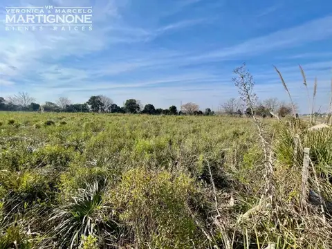 Única Fracción 65.000 M2 - Exaltación De La Cruz