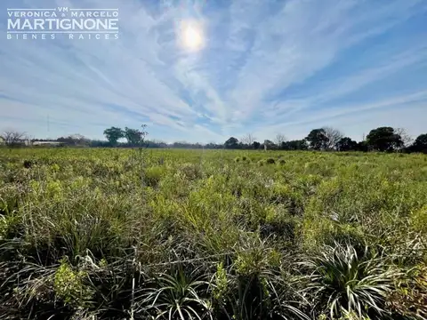Campo en Venta de 6,50  ha