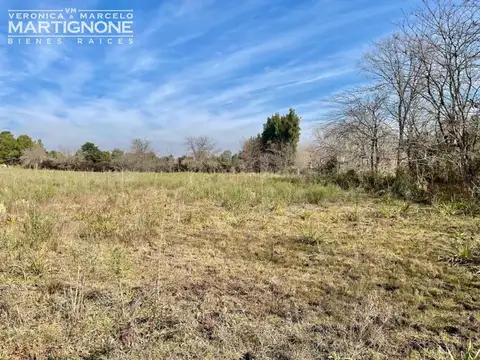 Única fracción 65.000 m2