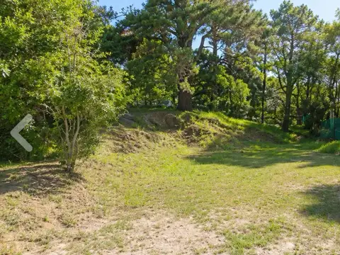 Terreno - Venta - Argentina, Ostende - DEL TUYU 739
