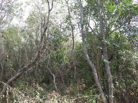 Terreno en Venta en Cosquin, USD 6.000