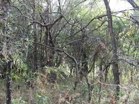 Terreno en Venta en Cosquin, USD 6.000
