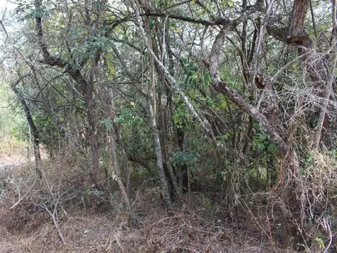 Terreno en Venta de 392,0 m2