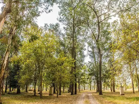 Terreno en Venta en Estancia Villa María, USD 18.000