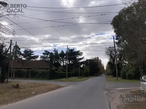 50/5 y 6