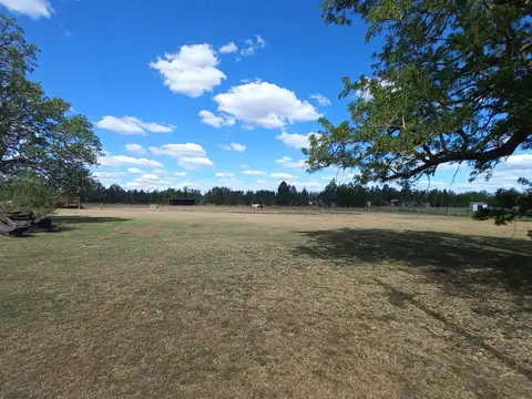 Terreno en Alquiler de 9322,0 m2