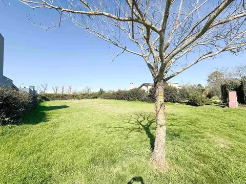 Terreno en Venta de 1093,0 m2