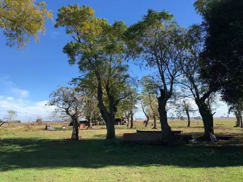 Camino del Chorizo 100