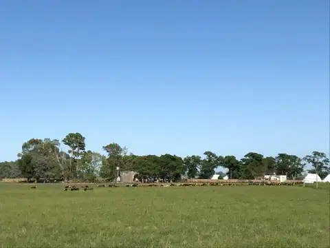 Camino del Chorizo 100