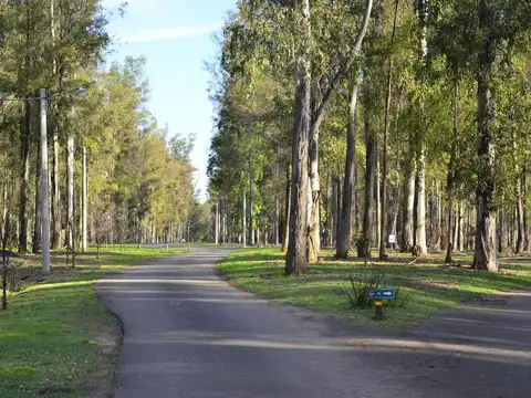 Terreno en Venta de 1000,0 m2