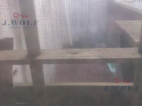 Avda san martin Nº 1266