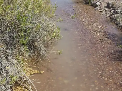 Terreno en Venta de 165792,0 m2