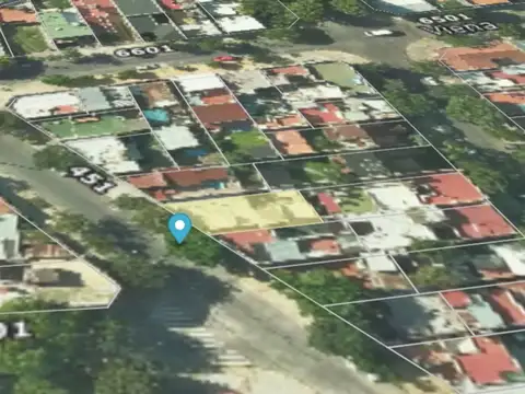 Fragueiro 400
