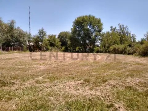 OPORTUNIDAD INVERSION TERRENOS EN OLIVEROS