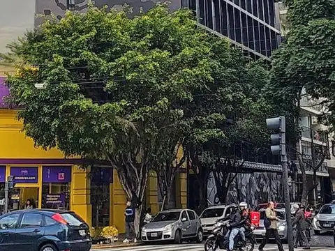 Oficina Monoambiente con 4 baños