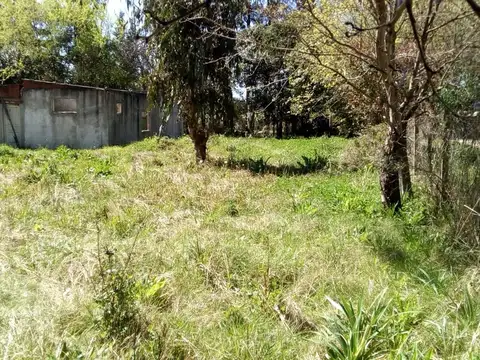 Terreno en Venta 12  mts Frente