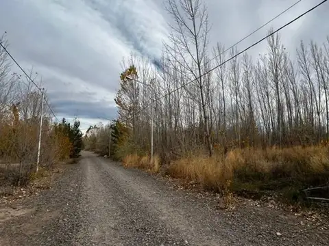 Terreno en Venta en Añelo, USD 54.000