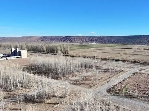 Terreno en venta Añelo Vaca Muerta La Forestada