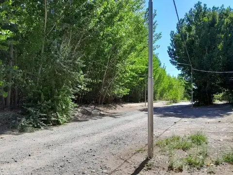 Terreno en Venta en Añelo, USD 54.000