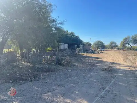 CRUZ DEL EJE- CAMPO EN VENTA- EN ZONA DE PALO PARADO-