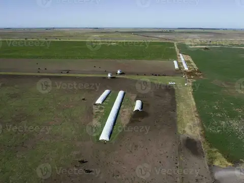 Campo en venta en Colonia Trenquenda