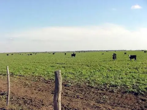 Campo en Venta de 5.000  ha