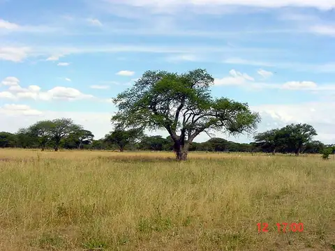 LA PAMPA 5000  Hectareas