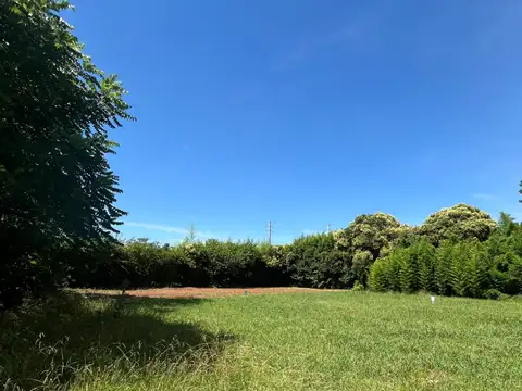 Terreno en Venta de 325,0 m2