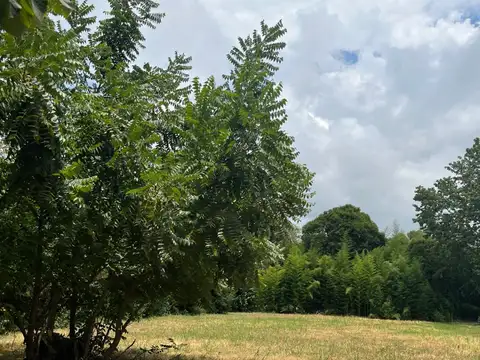 Terreno en Venta en Barrio El Cazador, USD 30.000