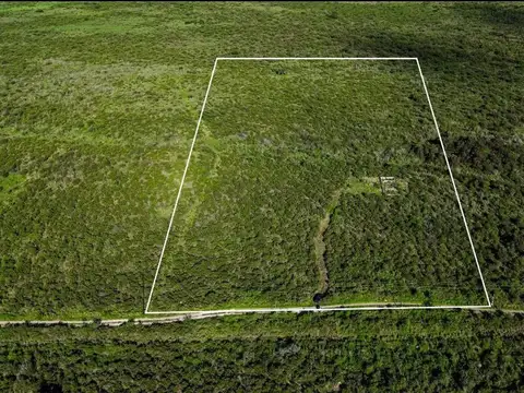 VENTA TERRENO EN CHARBONIER 2.8HAS CAMPO