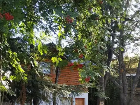 CABAÑA DE 55 M2 EN BARRIO NORTE - VILLA LA ANGOSTURA (C103)