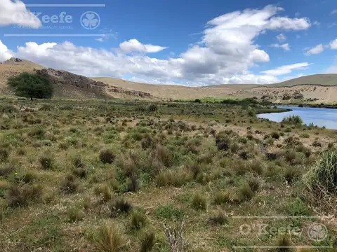 Bariloche  chacra Rio Limay 1,75 Has