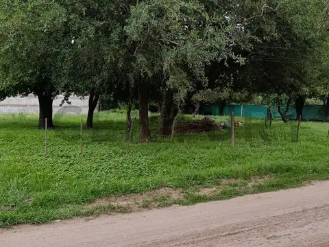 Las Moras 100, Piso 0