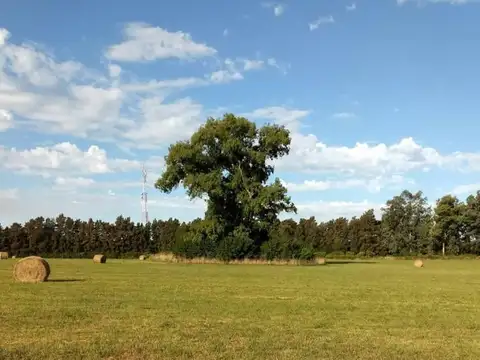 Campo en Venta de 17 hectareas en Open Door, Lujan GBA Oeste