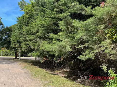 Terreno en Venta 20  mts Frente