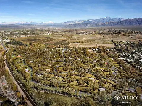 Terreno en Venta en Lujan de Cuyo, USD 142.950