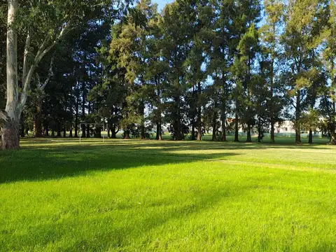 Terreno en Venta de 875,0 m2