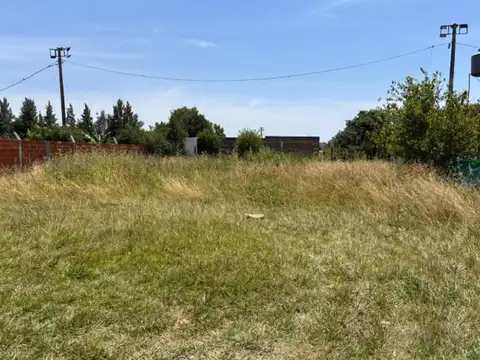 Parada Robles - 13 De Julio 100