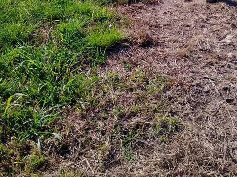 Terreno en Venta en Aldea Protestante, USD 9.000