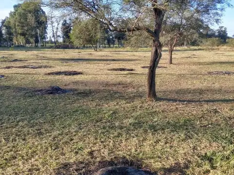 Terreno en Venta 41  mts Fondo