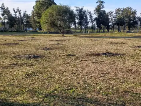 "QUINTAS DEL NORTE" V. Angela-Chaco