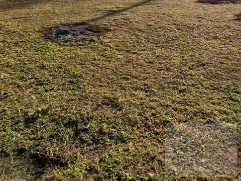 Terreno en Venta 22  mts Frente