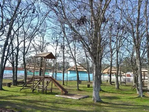 Mar Del Plata