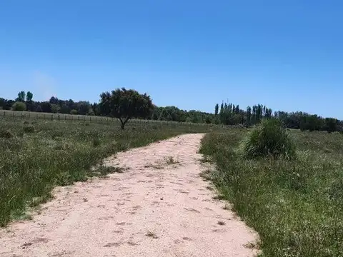 Benquerencia Farm Club