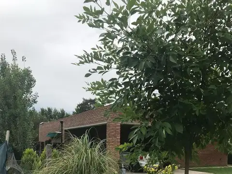 Puerto Roldan al 400