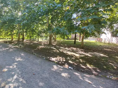 Lote con proyecto Clorindo Testa