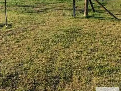 Terreno en Venta 46  mts Fondo