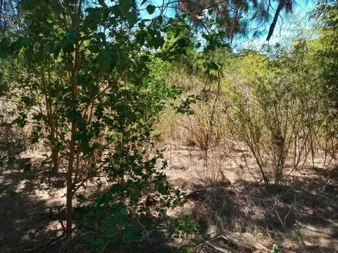 Terreno en Venta 40  mts Frente